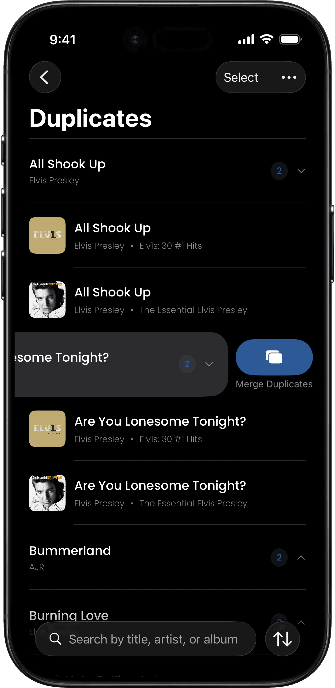 Duplicates feature screenshot