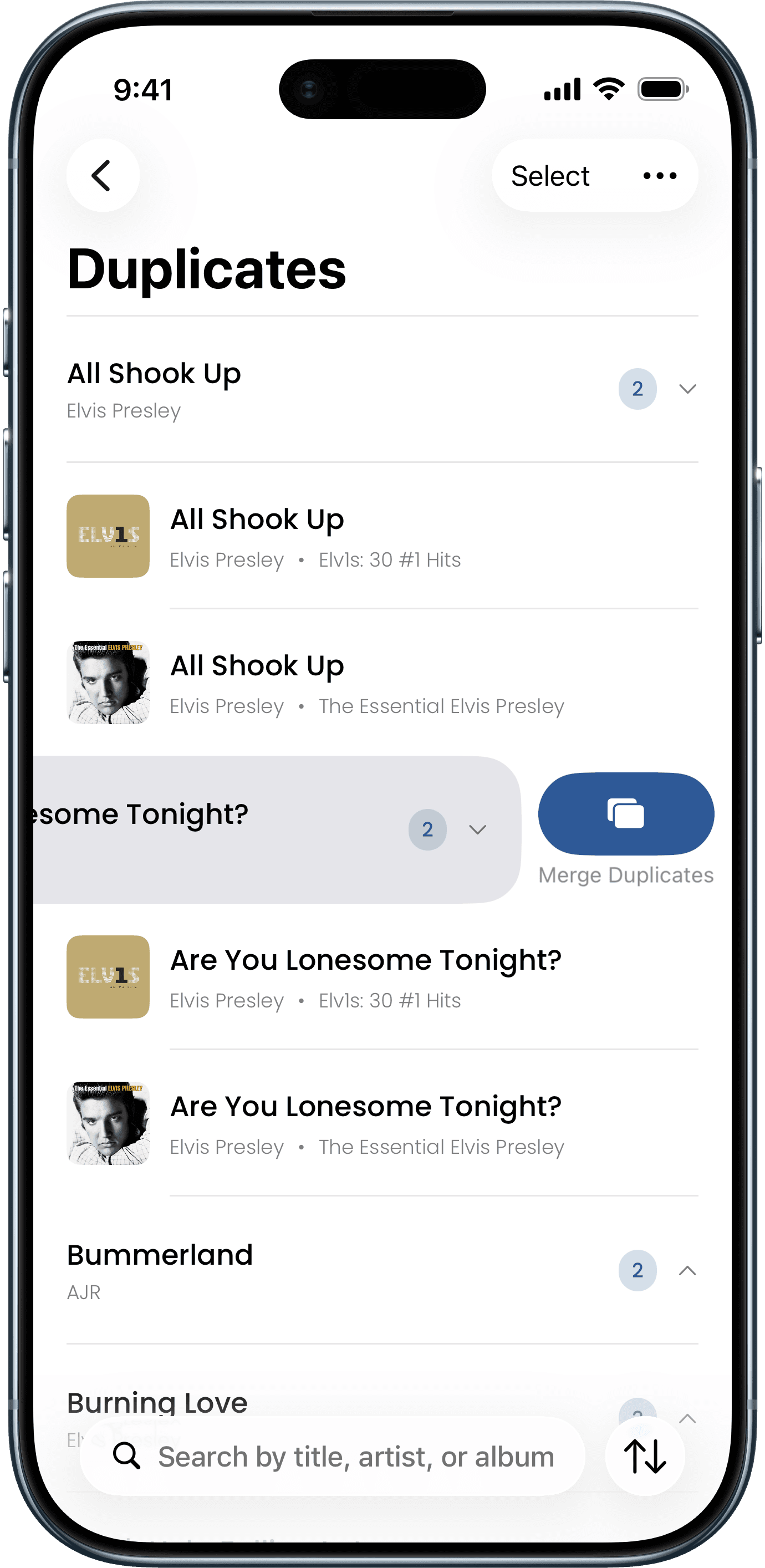 Duplicates feature screenshot