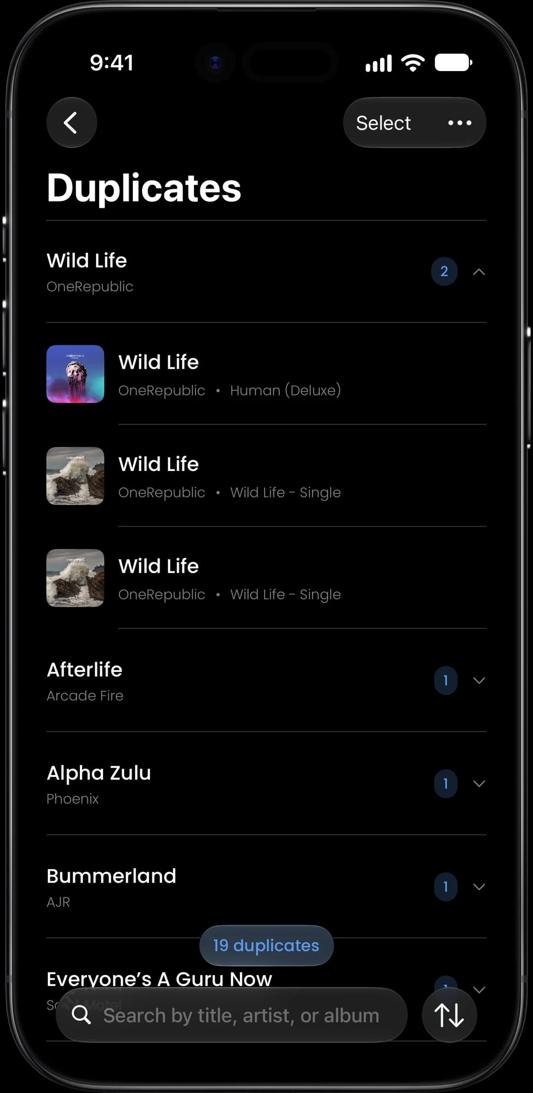 Duplicates feature screenshot