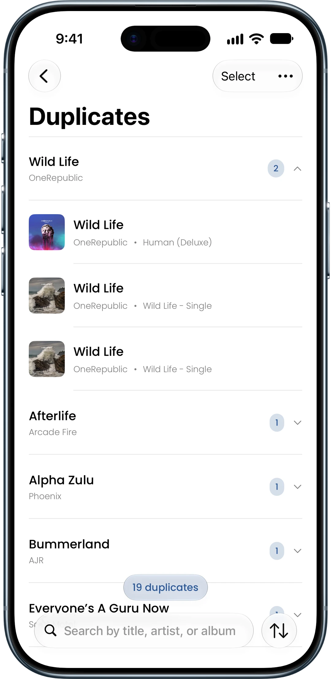 Duplicates feature screenshot